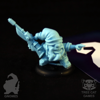 Gnome Troupe Leader